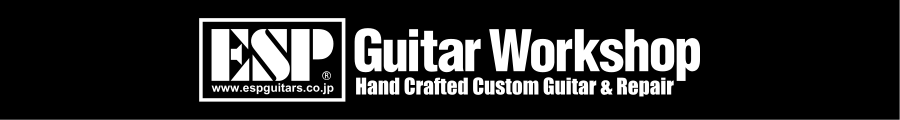 ESP Guitar Workshop